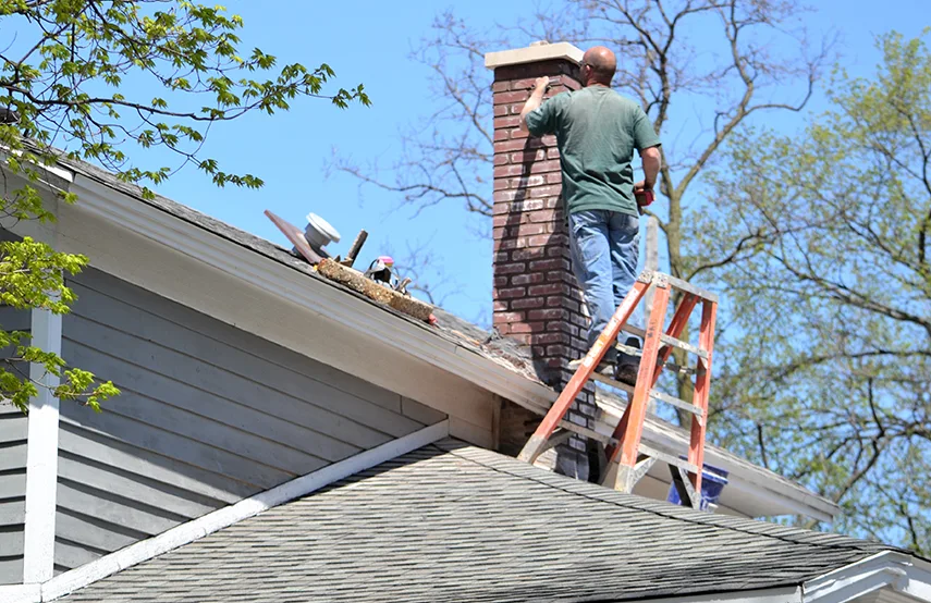Chimney & Fireplace Inspections Services in Snellville, GA